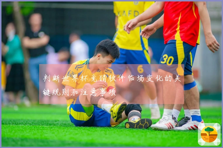 判断世界杯竞猜软件临场变化的关键规则和注意事项