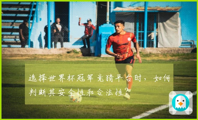 选择世界杯冠军竞猜平台时，如何判断其安全性和合法性？