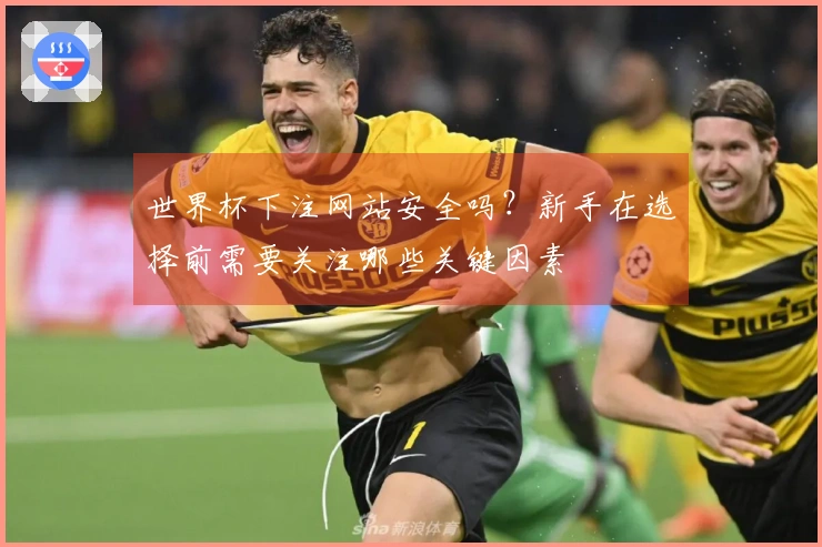 世界杯下注网站安全吗？新手在选择前需要关注哪些关键因素