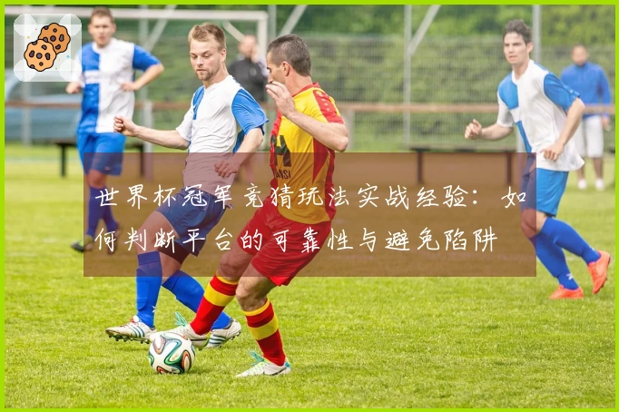 世界杯冠军竞猜玩法实战经验：如何判断平台的可靠性与避免陷阱