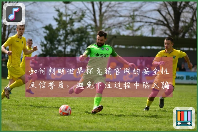 如何判断世界杯竞猜官网的安全性及信誉度，避免下注过程中陷入骗局