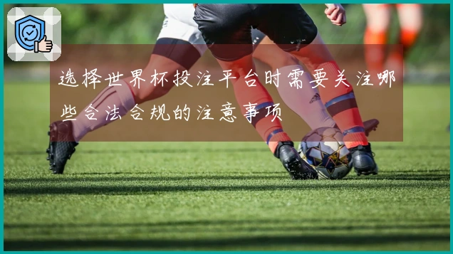 选择世界杯投注平台时需要关注哪些合法合规的注意事项