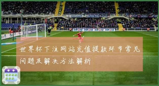 世界杯下注网站充值提款环节常见问题及解决方法解析