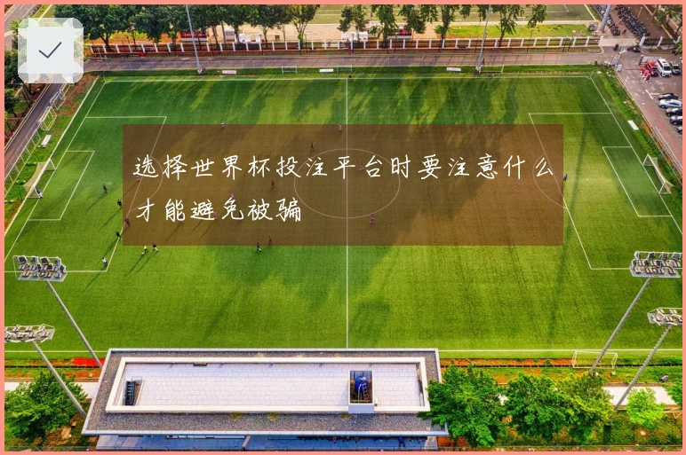 选择世界杯投注平台时要注意什么才能避免被骗