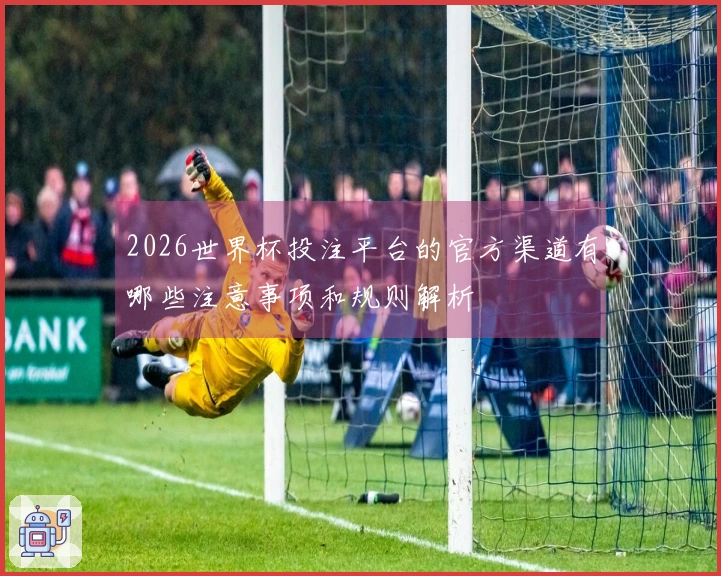 2026世界杯投注平台的官方渠道有哪些注意事项和规则解析