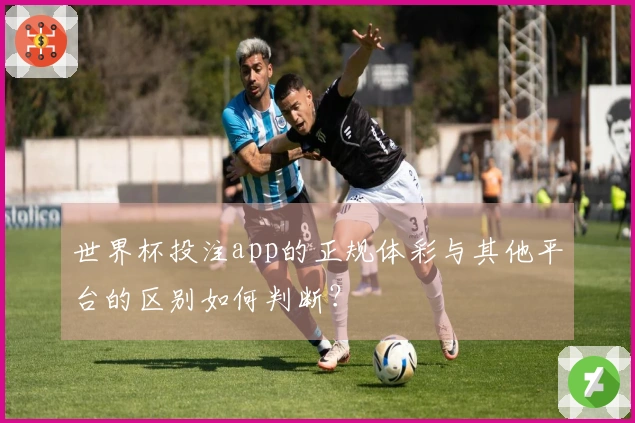 世界杯投注app的正规体彩与其他平台的区别如何判断？