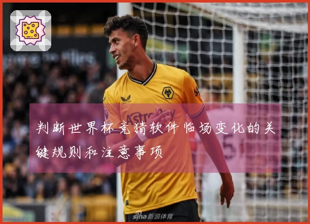 判断世界杯竞猜软件临场变化的关键规则和注意事项