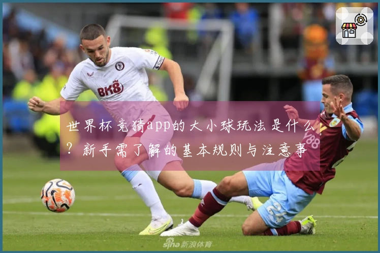 世界杯竞猜app的大小球玩法是什么？新手需了解的基本规则与注意事项