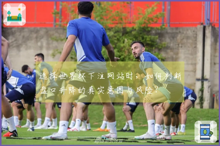 选择世界杯下注网站时，如何判断盘口升降的真实意图与风险？