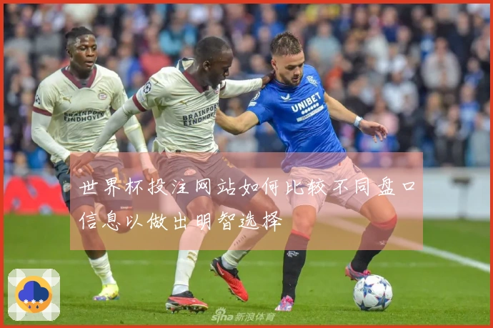 世界杯投注网站如何比较不同盘口信息以做出明智选择