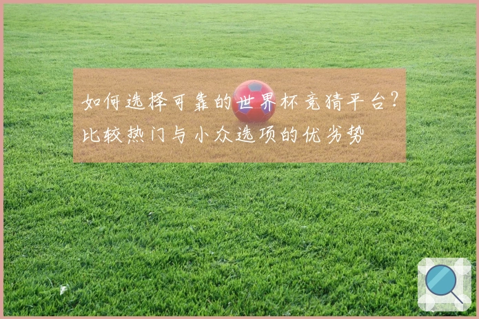 如何选择可靠的世界杯竞猜平台？比较热门与小众选项的优劣势