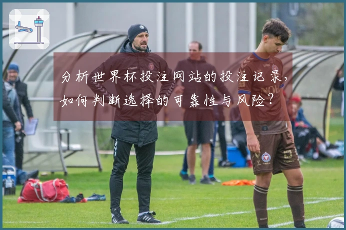 分析世界杯投注网站的投注记录，如何判断选择的可靠性与风险？