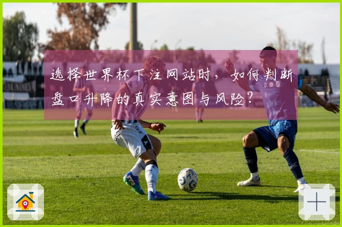 选择世界杯下注网站时，如何判断盘口升降的真实意图与风险？