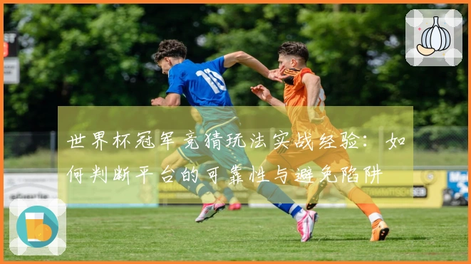 世界杯冠军竞猜玩法实战经验：如何判断平台的可靠性与避免陷阱