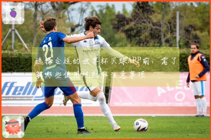 选择合适的世界杯买球APP前，需了解哪些使用规则和注意事项
