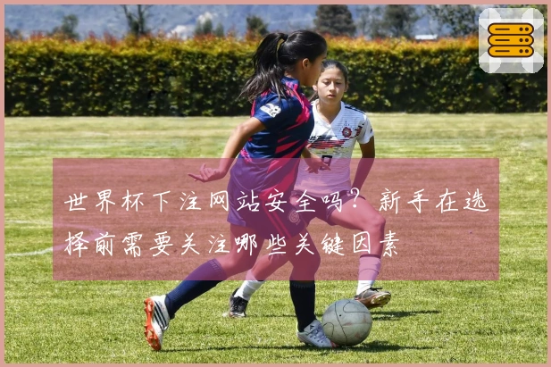 世界杯下注网站安全吗？新手在选择前需要关注哪些关键因素