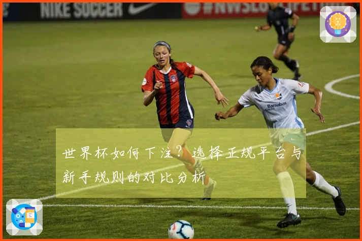 世界杯如何下注？选择正规平台与新手规则的对比分析