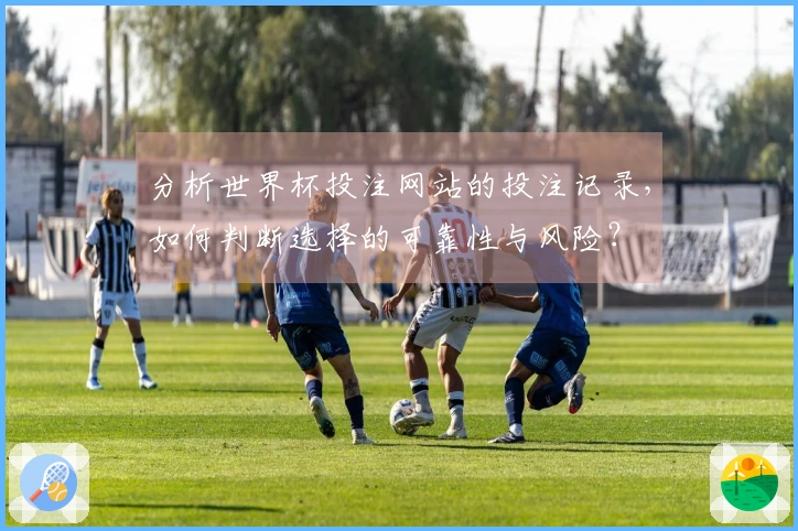 分析世界杯投注网站的投注记录，如何判断选择的可靠性与风险？
