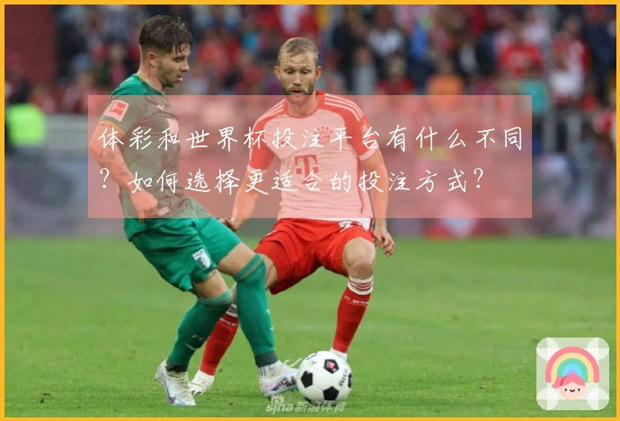 体彩和世界杯投注平台有什么不同？如何选择更适合的投注方式？