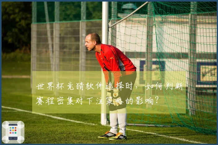 世界杯竞猜软件选择时，如何判断赛程密集对下注策略的影响？