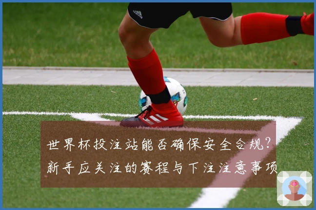 世界杯投注站能否确保安全合规？新手应关注的赛程与下注注意事项