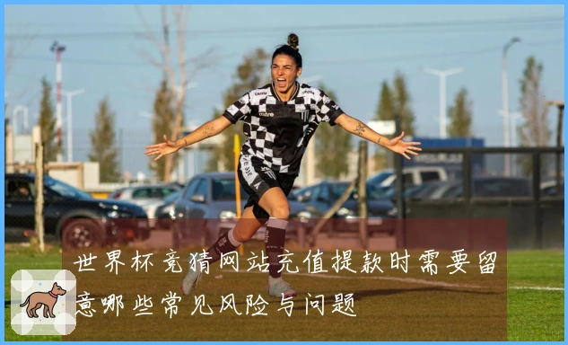 世界杯竞猜网站充值提款时需要留意哪些常见风险与问题