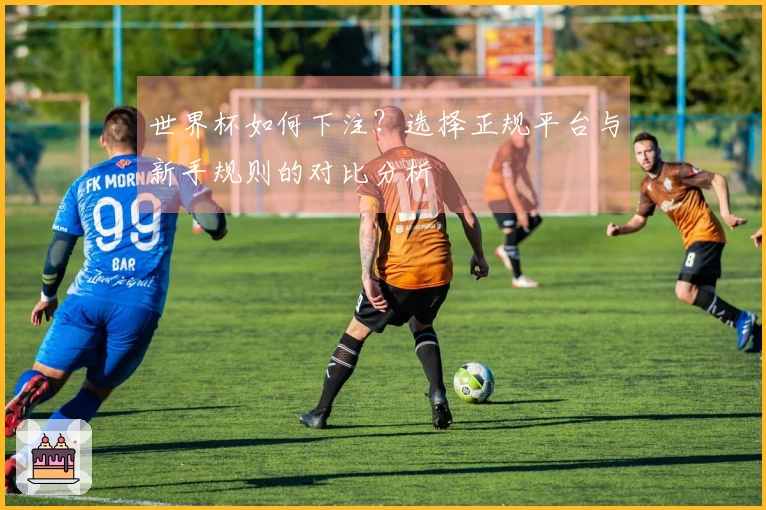 世界杯如何下注？选择正规平台与新手规则的对比分析