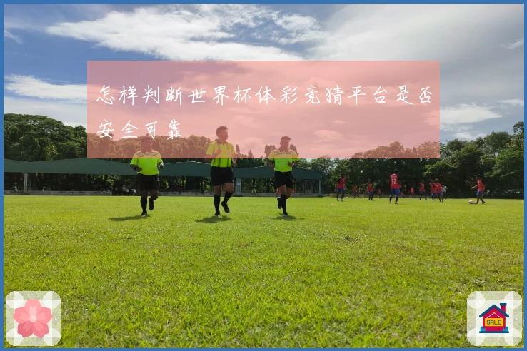 怎样判断世界杯体彩竞猜平台是否安全可靠